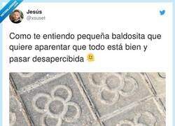 Enlace a Mi otro yo, por @xsuset