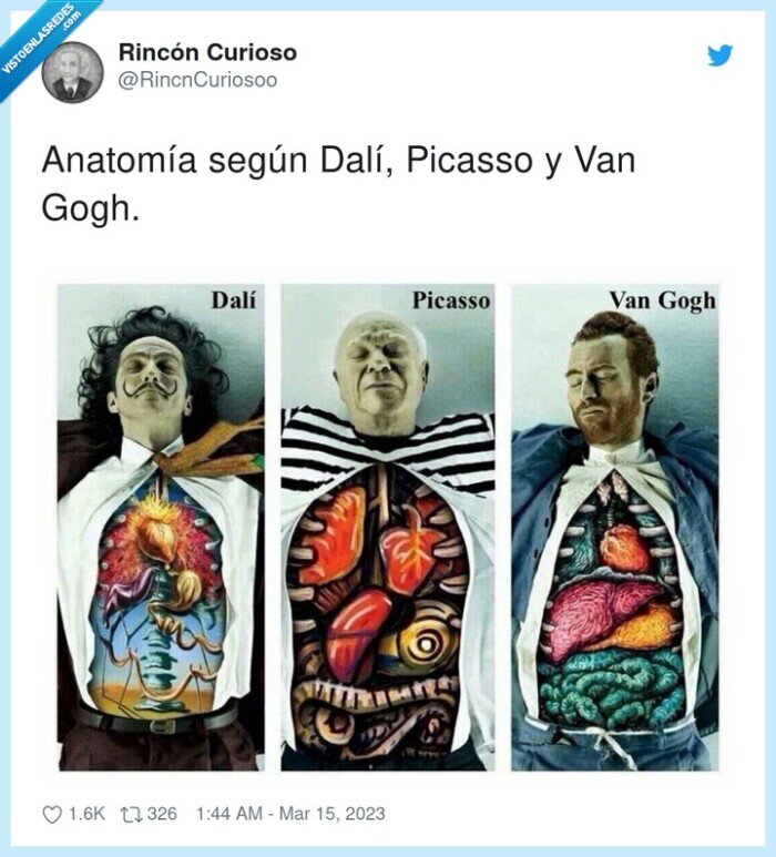 anatomía,picasso,dalí,van gogh