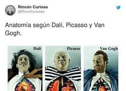 Enlace a Una de arte y anatomía, por @RincnCuriosoo