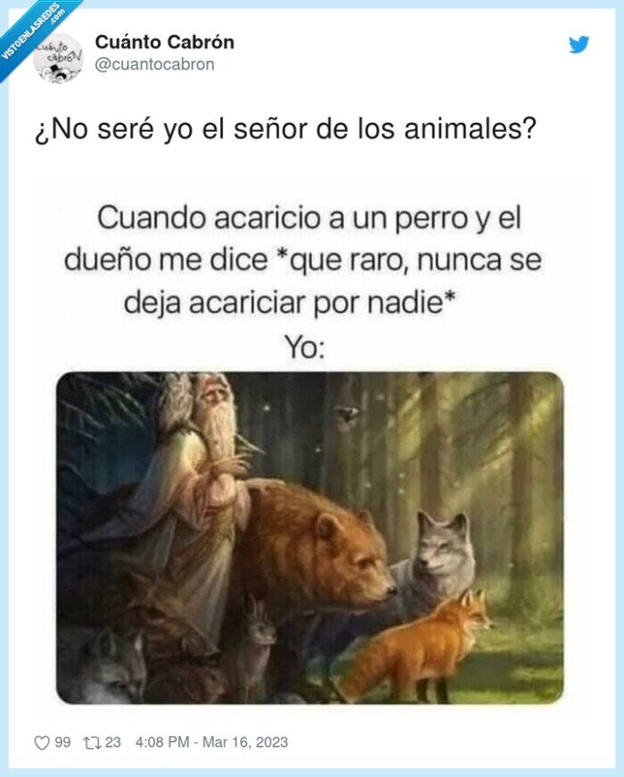 animales,se&ntilde;or,acariciar,perros,mascotas