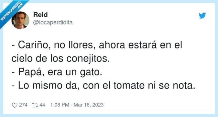 conejitos,cariño,llorar,gato,papá,tomate