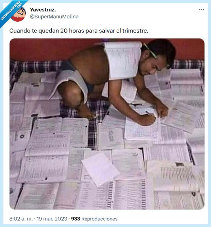 trismestre,salvsar,estudiar