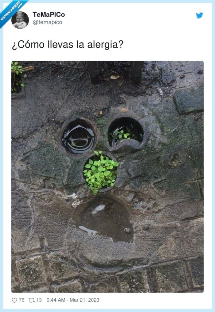 alergia,llevar,alcantarilla,suelo,agua,suciedad