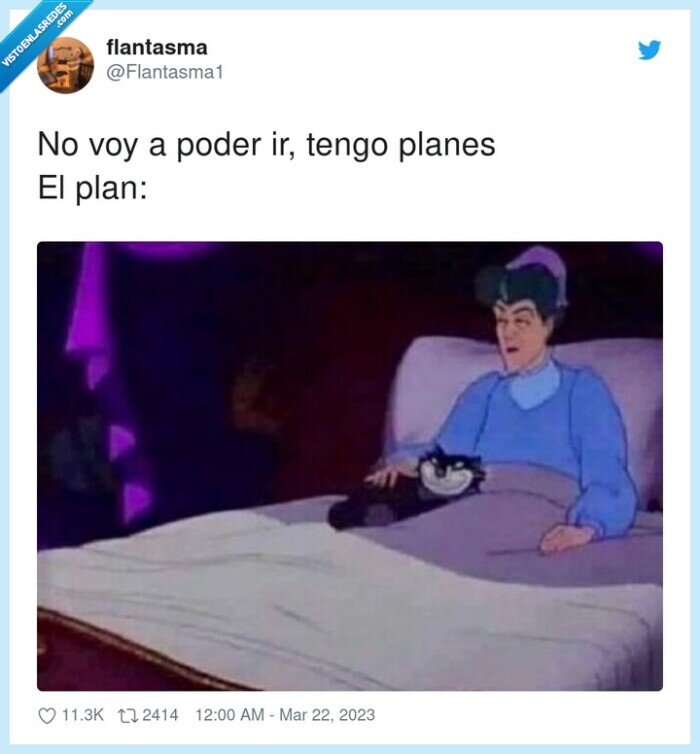 planes,quedar,no poder ir,cama,gato
