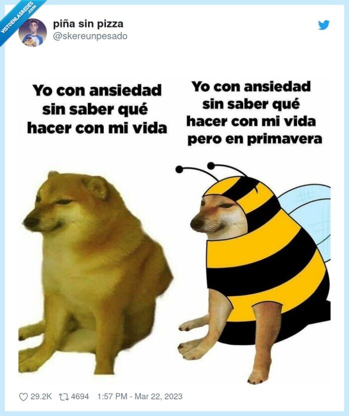 doge,cheems,ansiedad,vida,avispa