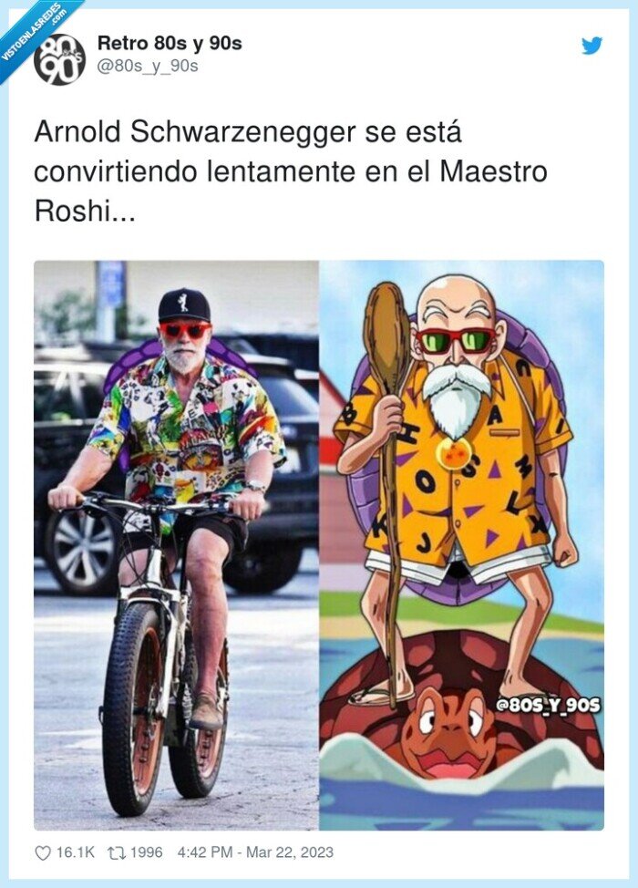 arnold schwarzenegger,lentamente,maestro,foIlet tortuga,mutenroshi