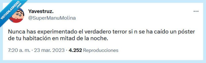 terror,póster,caer,noche