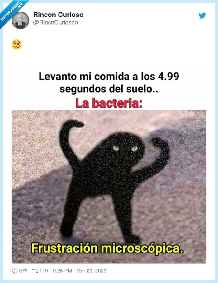 bacteria,regla de los 5 segundos,comida,caerse