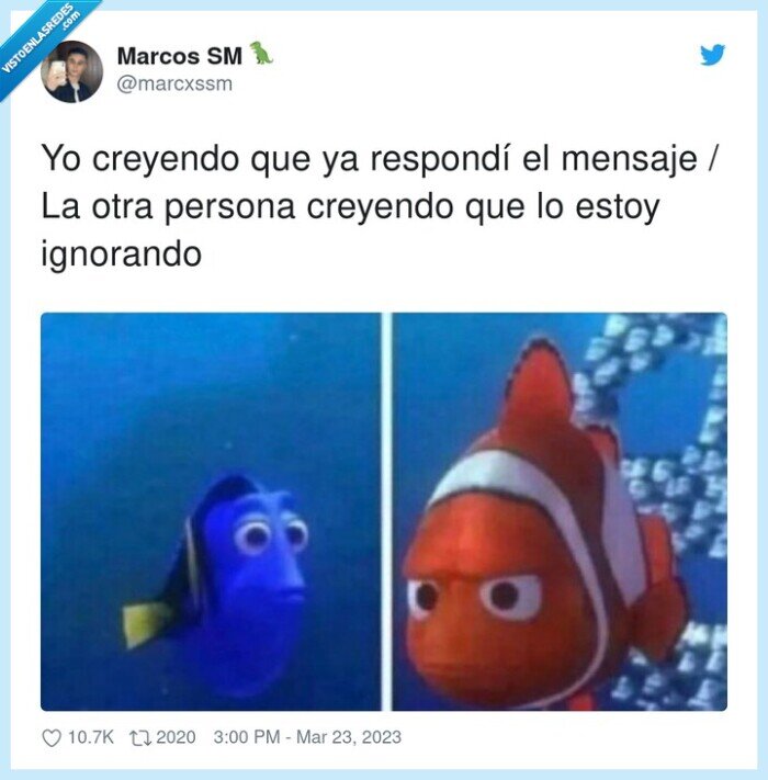 responder,ignorando,creyendo,mensaje,persona,dory,nemo