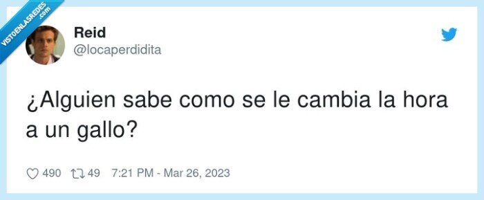 cambiar,gallo,cambio de hora