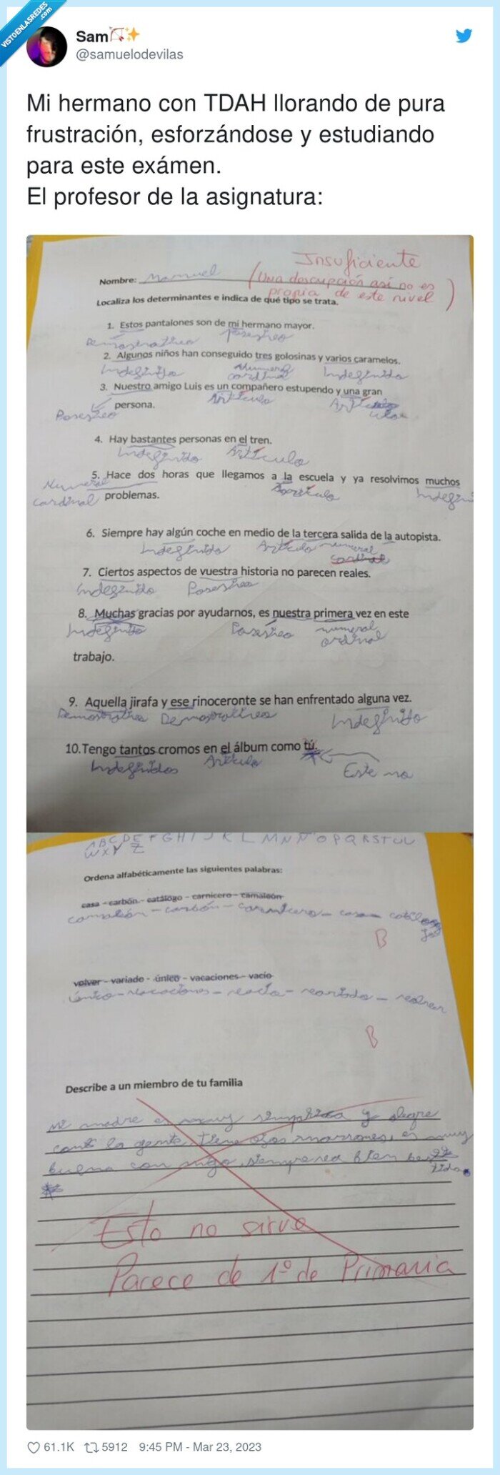 esforzándose,frustración,estudiando,asignatura,llorando,profesor