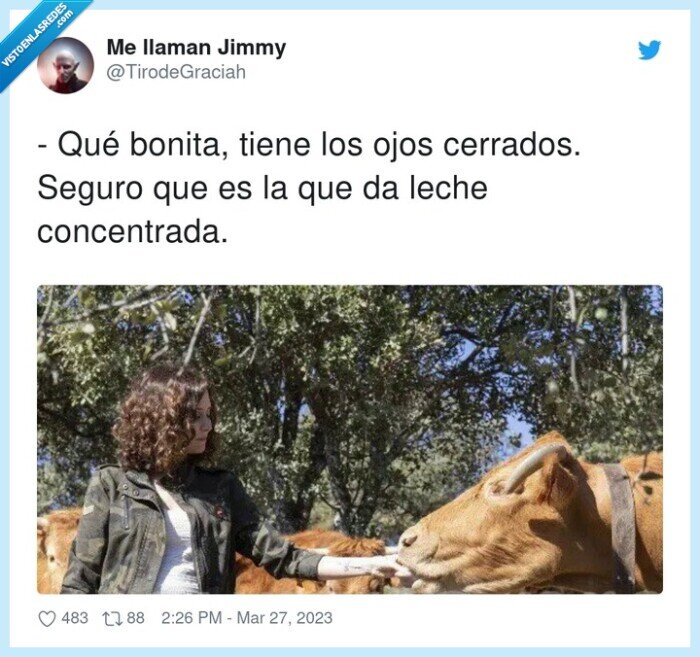 concentrada,ayuso,vaca,leche