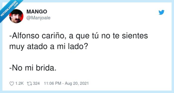 cariño,alfonso,atado,brida