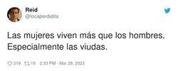 Enlace a La lógica no falla, por @locaperdidita