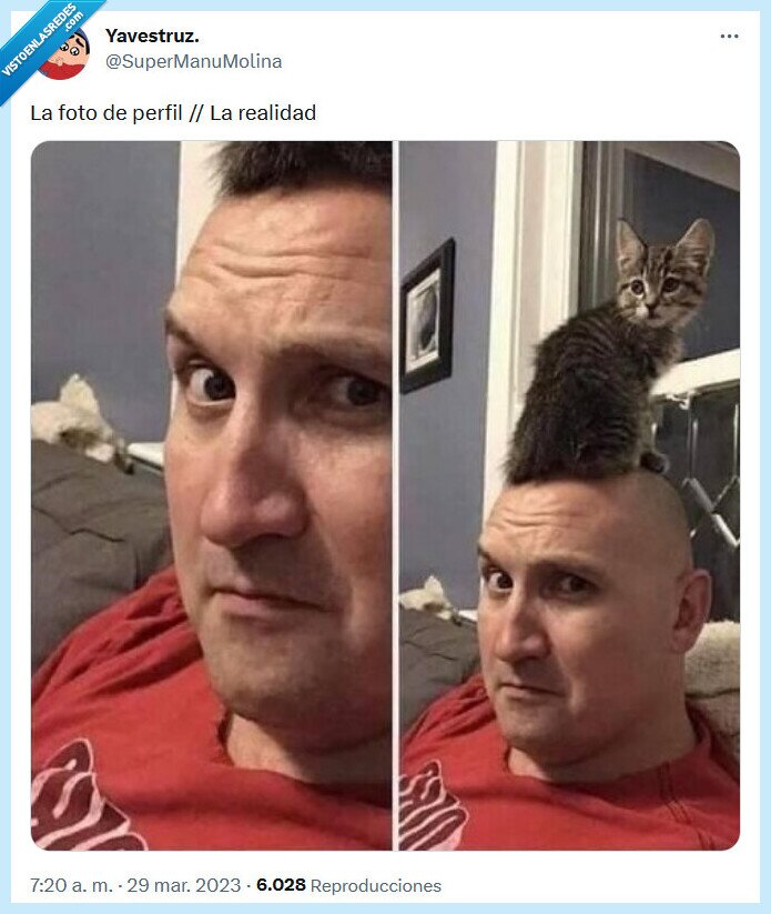 realidad,pelo,foto,perfil