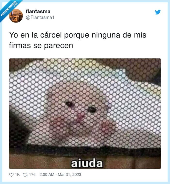 cárcel,ninguna,parecerse,gato,firmas