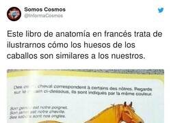 Enlace a Nononononononono, por @InformaCosmos