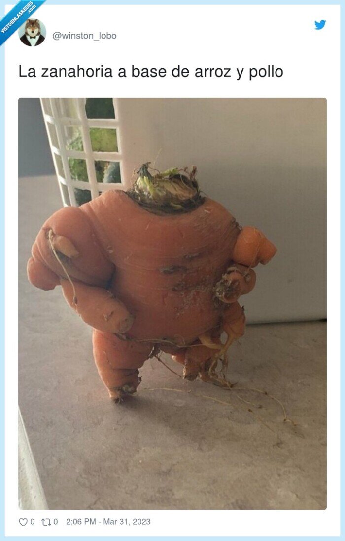 zanahoria,arroz,pollo,fuerte,cachas,musculos