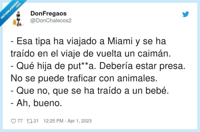 animales,traficar,caimán