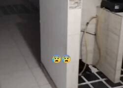 Enlace a Miedo máximo: Un usuario de TikTok llamado: diiegospyckerzss, está subiendo hace un tiempo videos del fantasma de un niño, el cual dice que lo persigue y escucha sus risas en la casa