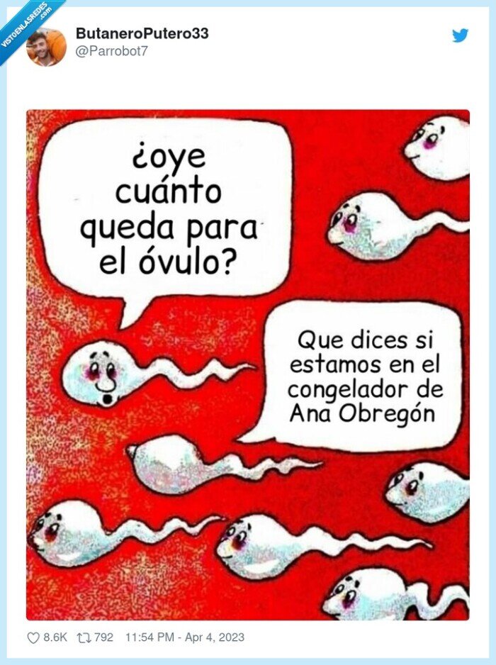 ana obregon,vientre de alquiler,espermatozoides