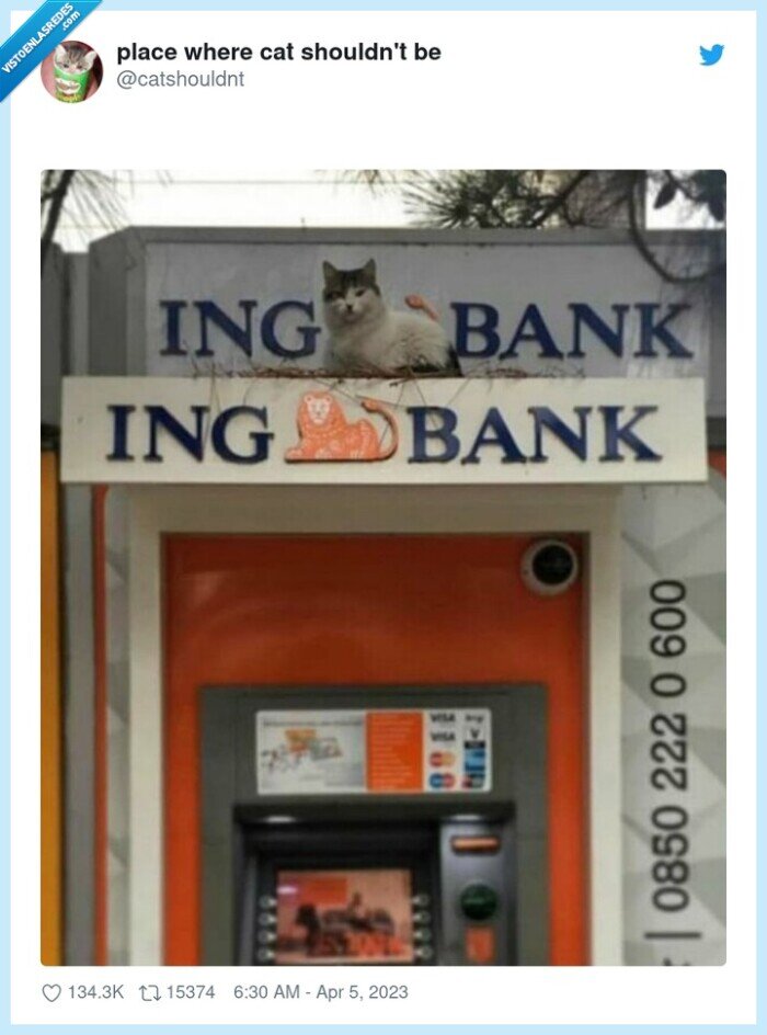 logo,gato,león,ing bank