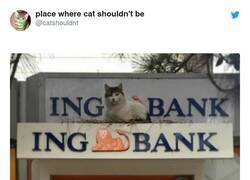 Enlace a En el lugar adecuado en el momento adecuado, por @catshouldnt