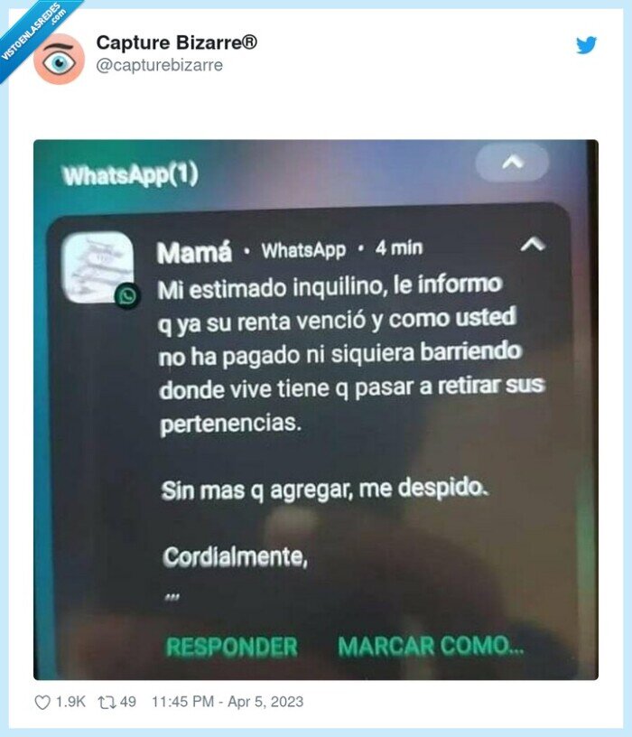 madre,inquilino,casa,limpiar,habitación,echar