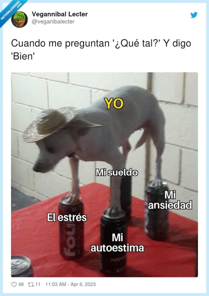 estres,autoestima,sueldo,peligro,ansiedad,perro