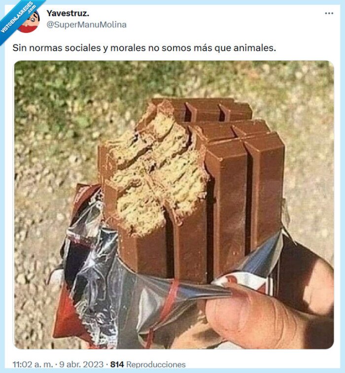 kit kat,normas,animales,comer