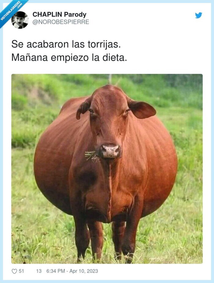 torrijas,mañana,empiezo,dieta,vaca,gordo