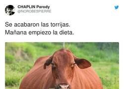 Enlace a Soy yo, por @NOROBESPIERRE