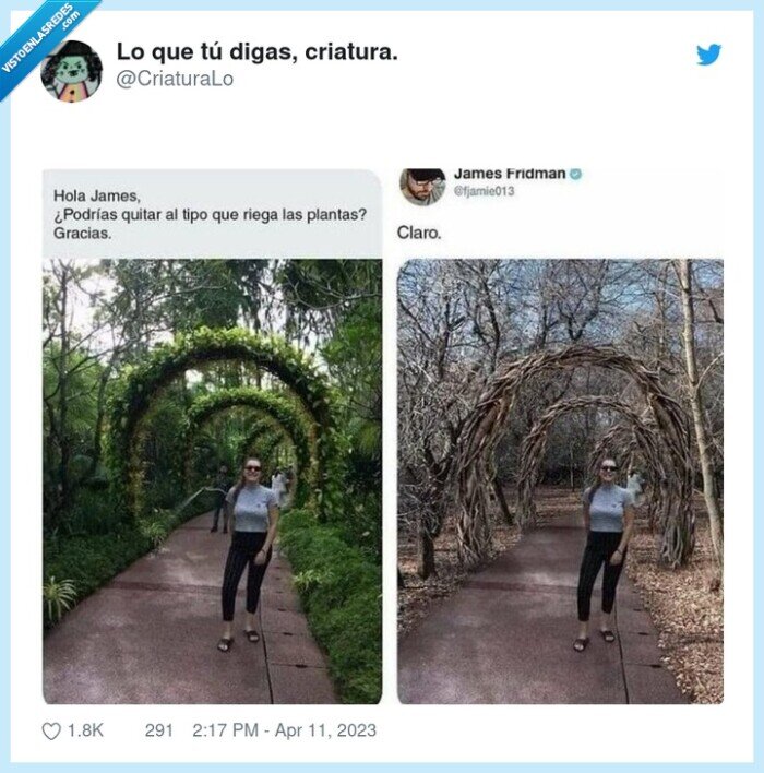 jardinero,james fridman,quitar,photoshop