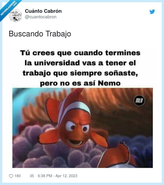 buscando,trabajo,nemo,universidad