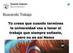 Enlace a Ay chiquillo cuánta inocencia, por @cuantocabron