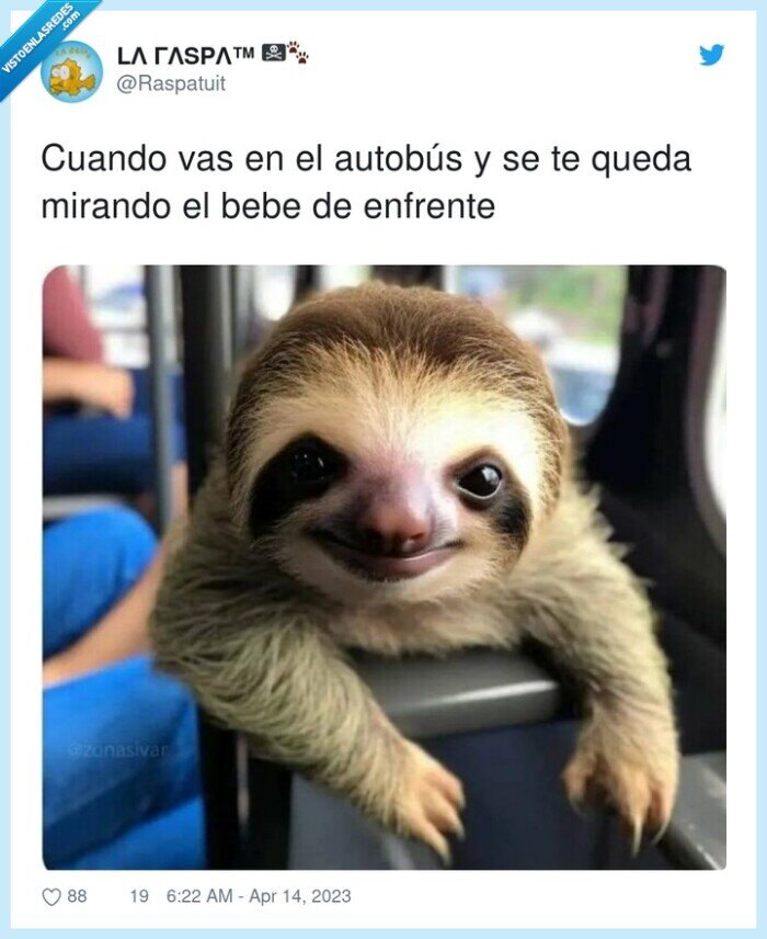 enfrente,autobús,mirando,bebe