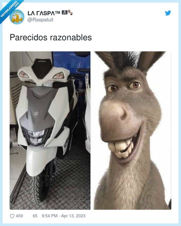 parecidos razonables,asno,moto,shrek,suzuki