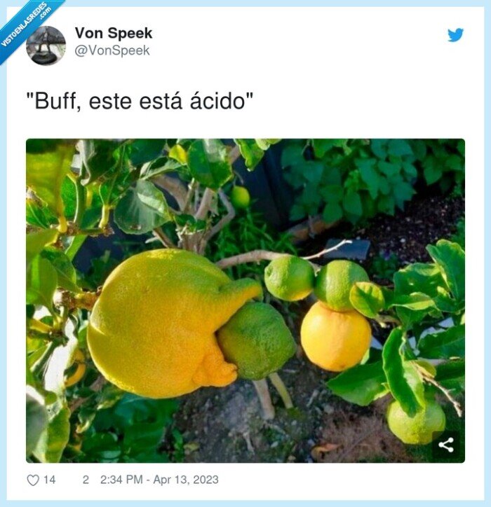 ácido,limones,lima,verde