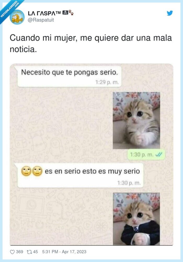 noticia,mujer,gato,traje,mala,dar