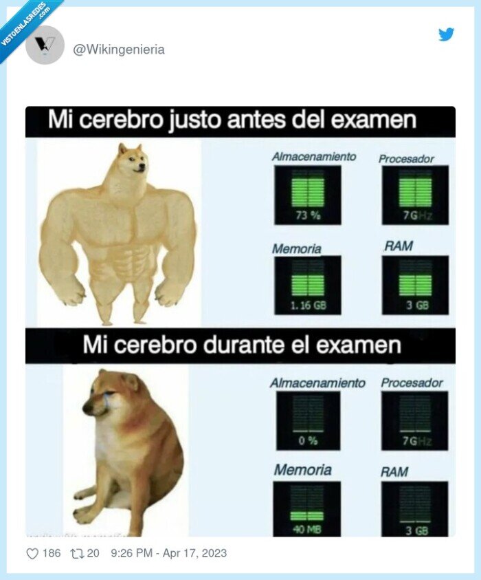 examenes,doge,cheems,memoria,ram,procesador