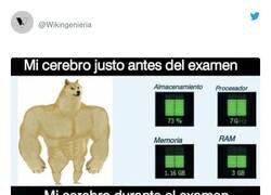 Enlace a Me siento 100% identificado, por @Wikingenieria