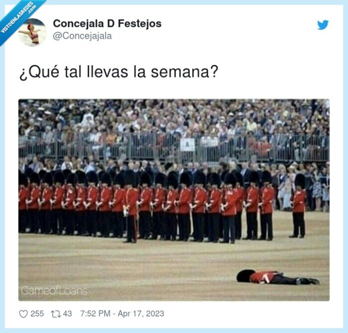 guardas reales,uk,caída,desmayo