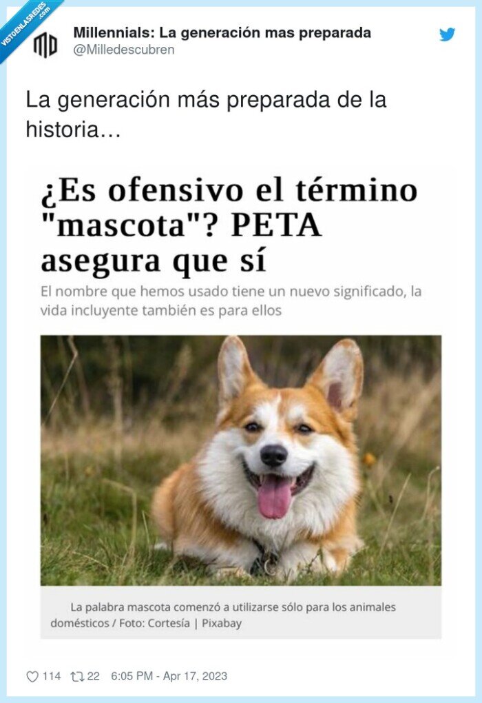 generación,historia,peta,ofensivo,mascota