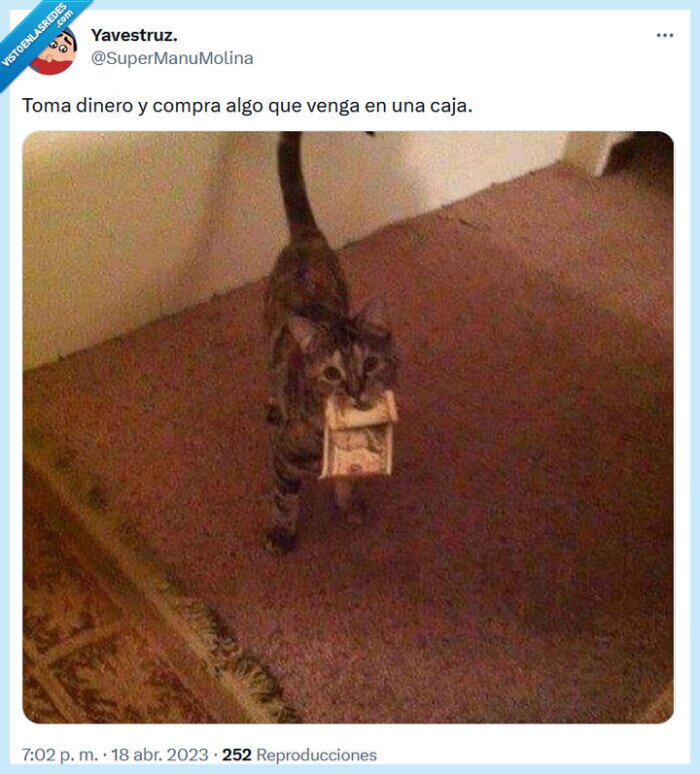 caja,gato,comprar