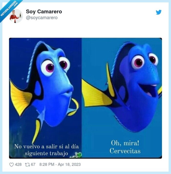 dory,cervecita,salir,trabajo