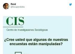 Enlace a Ya sabes de qué palo van, por @locaperdidita