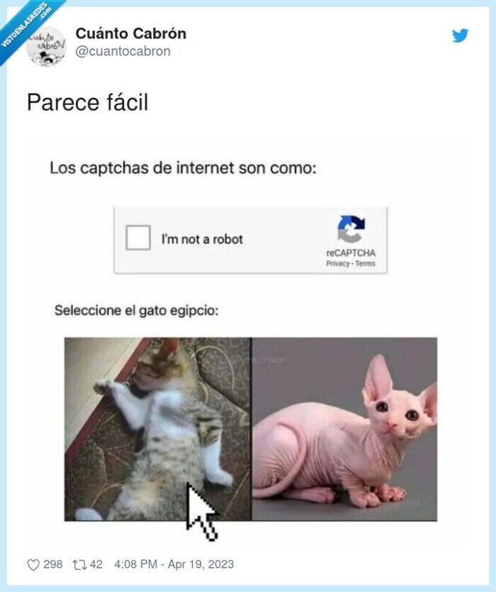 parece,fácil,captcha,gato,egipcio
