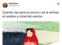 Enlace a Y terminas abriendo el congelador, por @Flantasma1