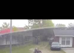 Enlace a El auténtico perro labrador, rechaza imitaciones, por @Siempre_Tommy