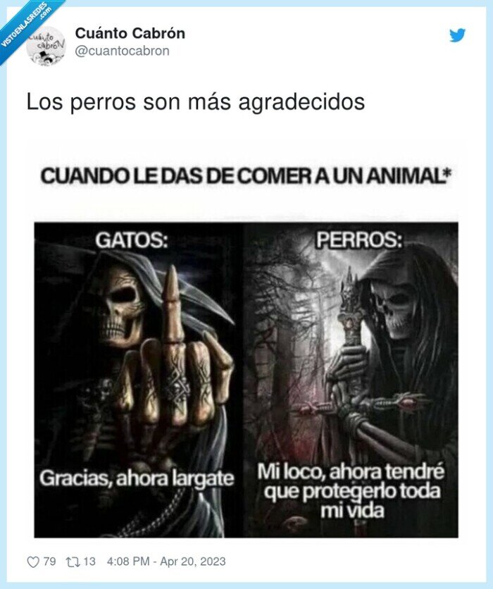 agradecidos,perros,gatos,comida